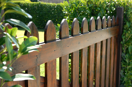 Fence cleaning